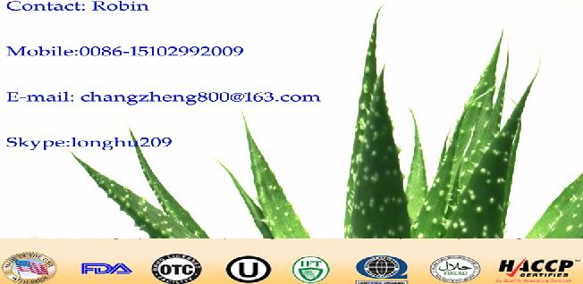 100% Natural Matcha Green Tea Powder