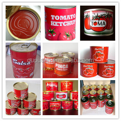 28-30% Tomato Paste in Can Ketchup