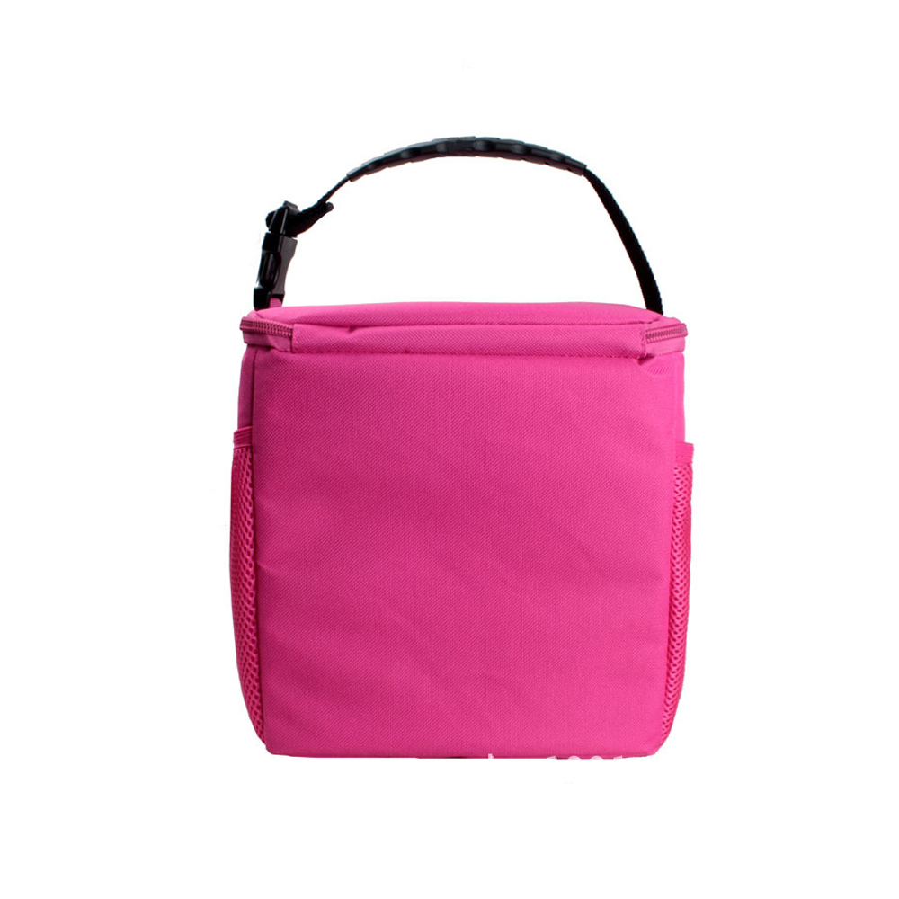 2015 Top Sale High Standard Insulate Cooler Bag