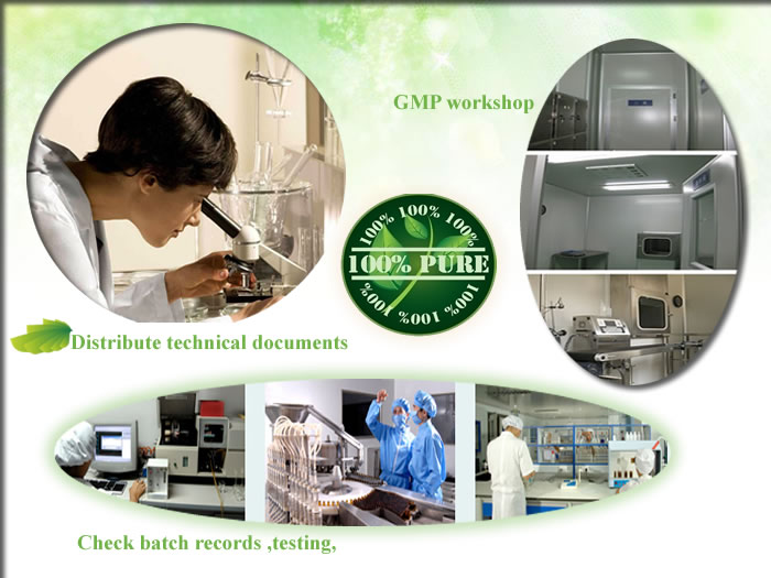 green tea powdered extract, green tea extract powder, natural green tea extract powder