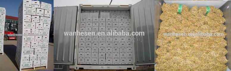 2014 High Quality New Crop Fresh ginger export For UK,CANADA,USA and EU Market 1kg fresh ginger pric
