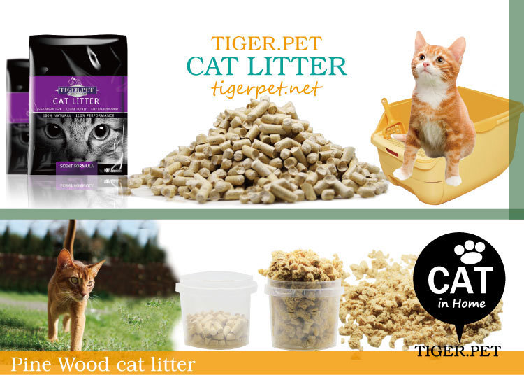 1.cat litter