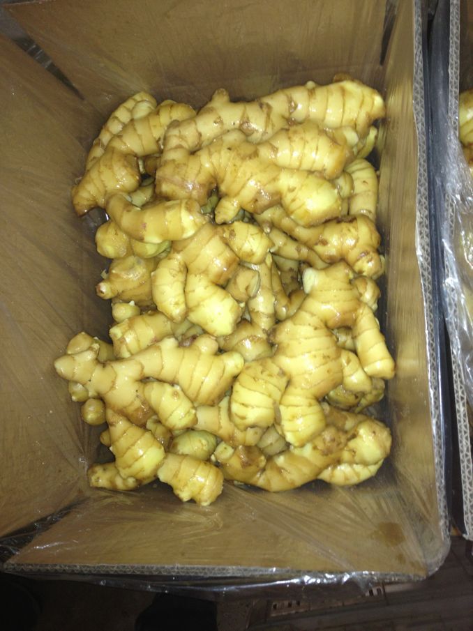 20kg Mesh Bag Package Air Dry Ginger