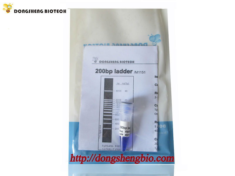 M1151 200bp ladder