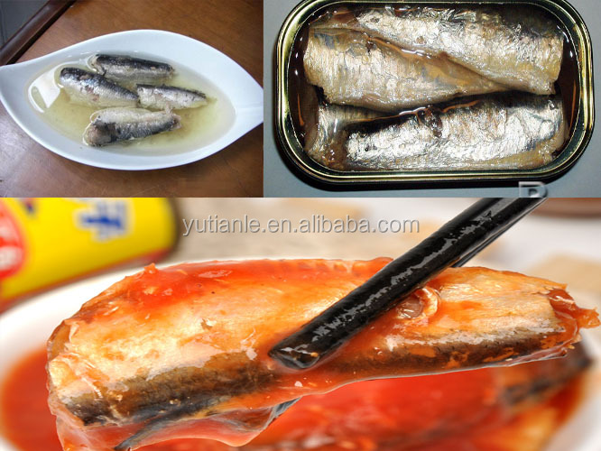 High Quality 155g DIPOA Certificate Canned Sardine In Oil