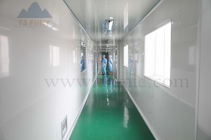01 Micron Hydrophilic PTFE membrane Sterilizing Grade Filters for coconut water/beer and wine