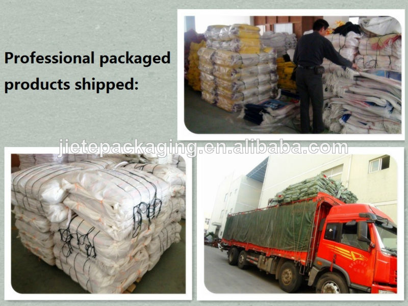 100 % plastic raw material plain white pp 10 kg bag for wheat/rice/grain and feed