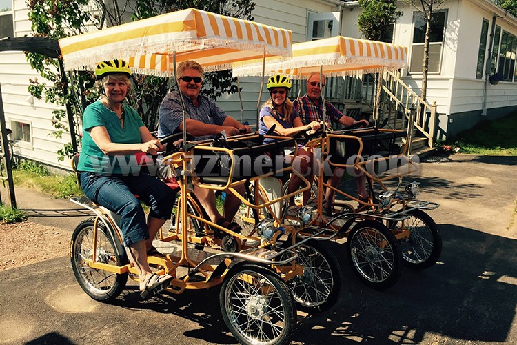 Adult Pedal Quads Bicycle Surrey Bike Four Wheels