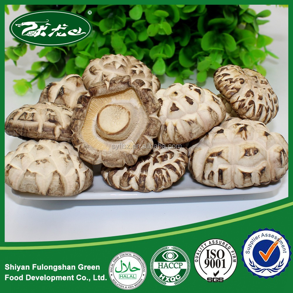 fresh dried mushroom, health food, organic food