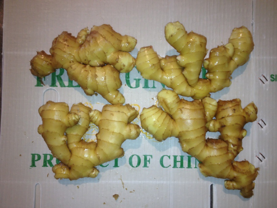 cheap price of fresh ginger in egypt