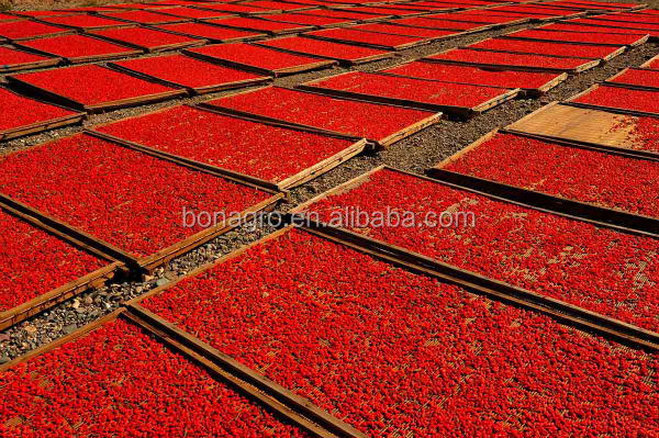 bulk dried goji