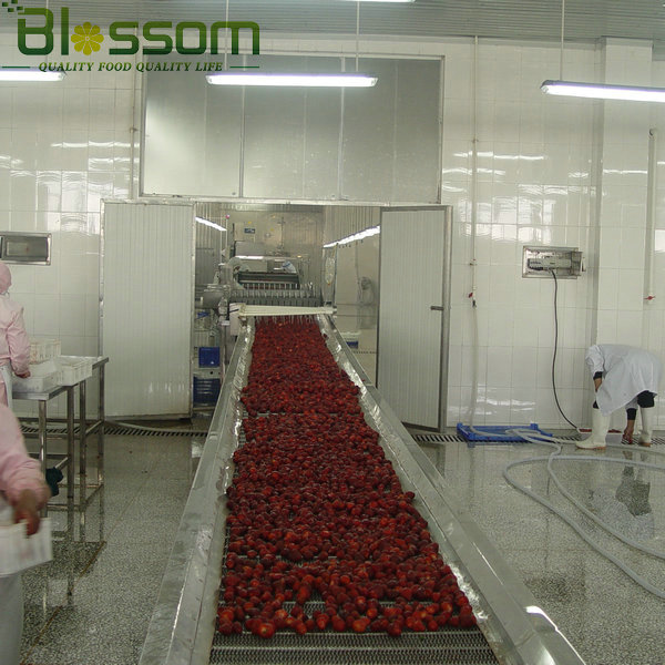 Wholesale top quality frozen strawberry new crop names all fruits