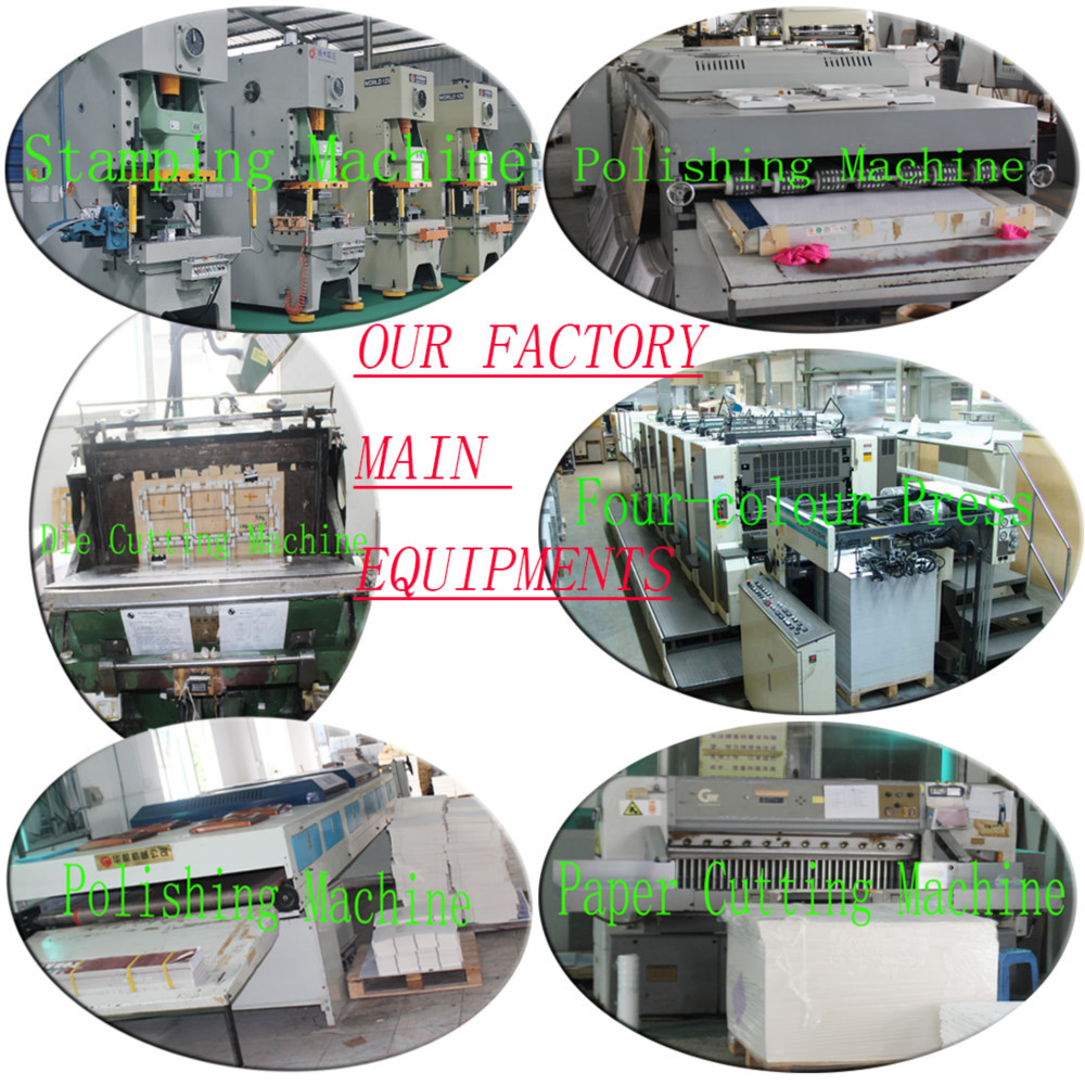 Factory Main Equipments