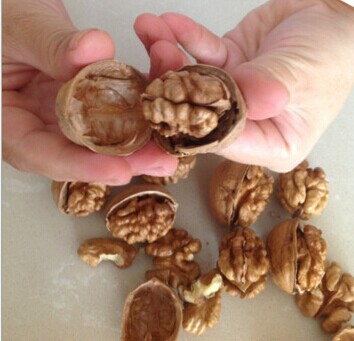 Nuts/Walnuts/ Walnuts in Shell/ Walnut Kernals for sale