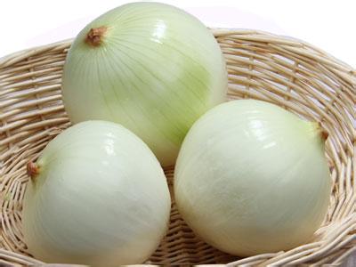 Fresh Yellow Onion in Bulk