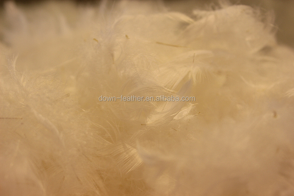 良い品質2〜4センチメートル洗浄白いガチョウの羽毛問屋・仕入れ・卸・卸売り