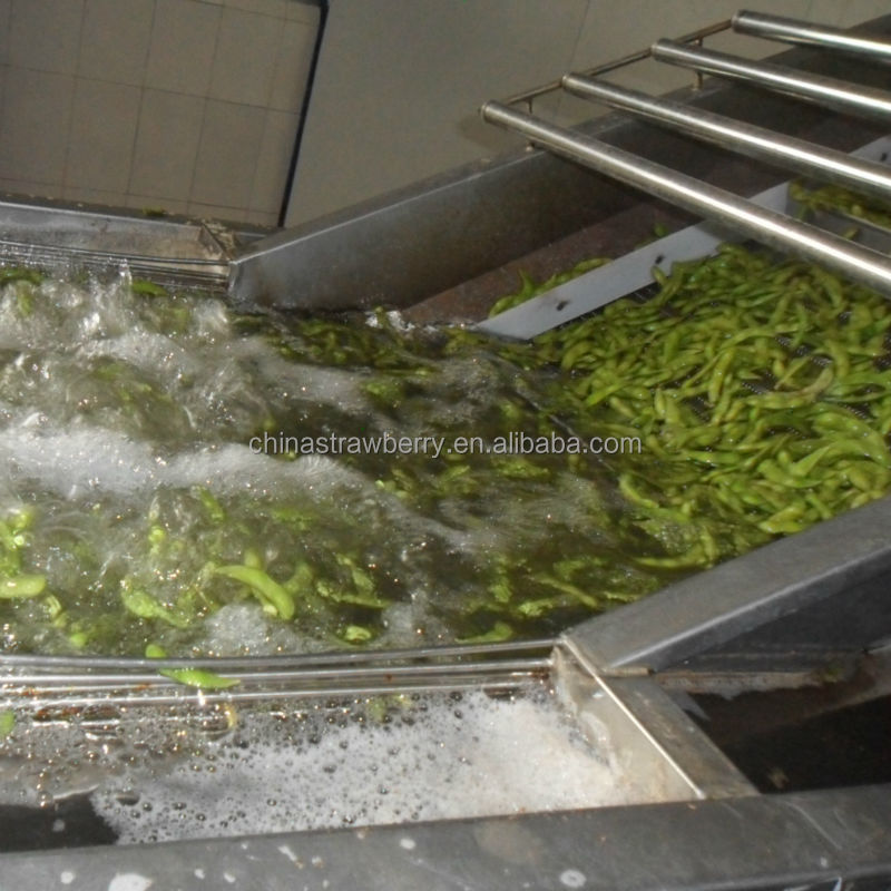 Frozen Edamame in pod Frozen and IQF Edamame Beans