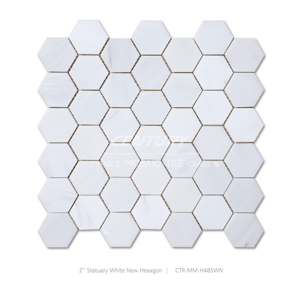 CTR-MM-H48SWN Statuary White New  Hexagon (1).jpg