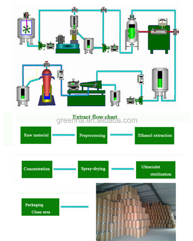 Grape Seed Extract Powder