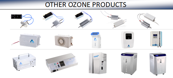 catalytic ozone destructor