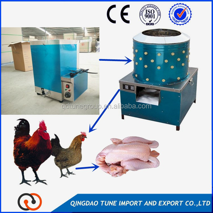 Poultry plucking line machine.jpg