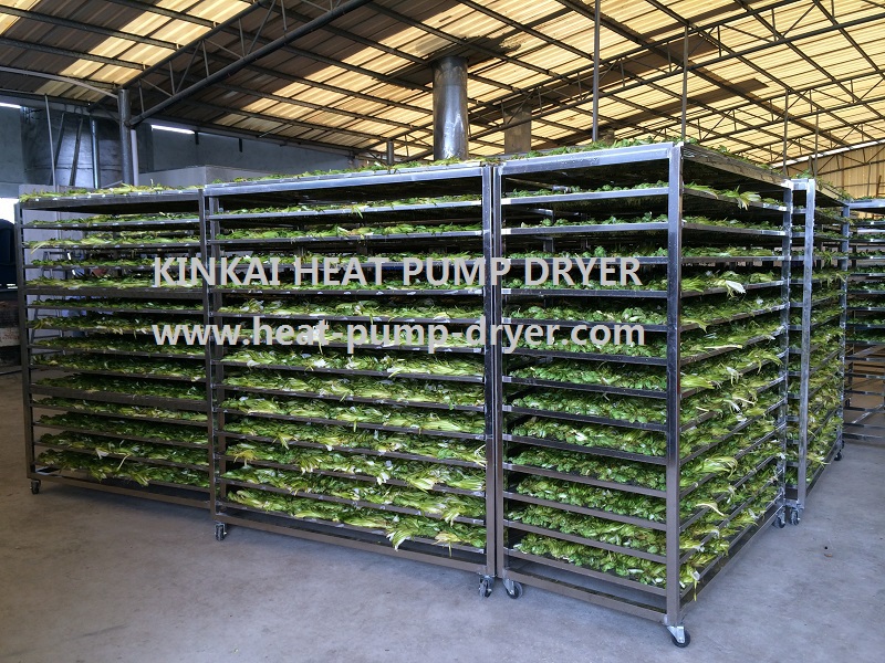 熱い販売のトレイ野菜の乾燥機の乾燥室を持つマシン仕入れ・メーカー・工場