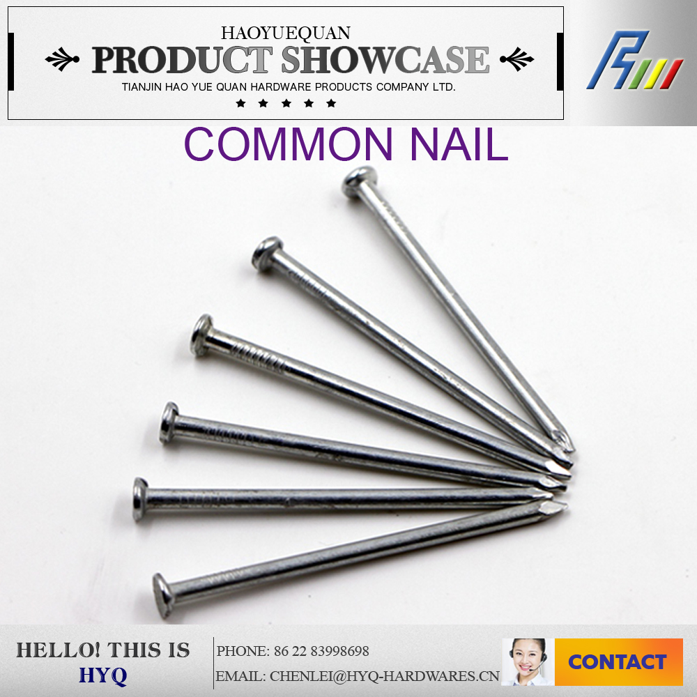 zinc plated wooden nails for wood manufacturers