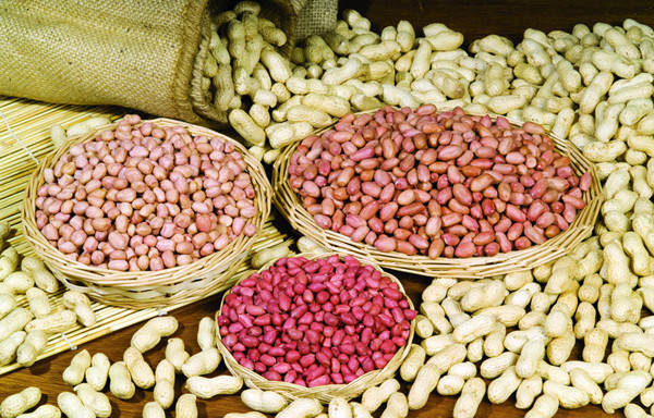 2014 raw peanut with high quality, ISO, KOSHER, reliable supplier