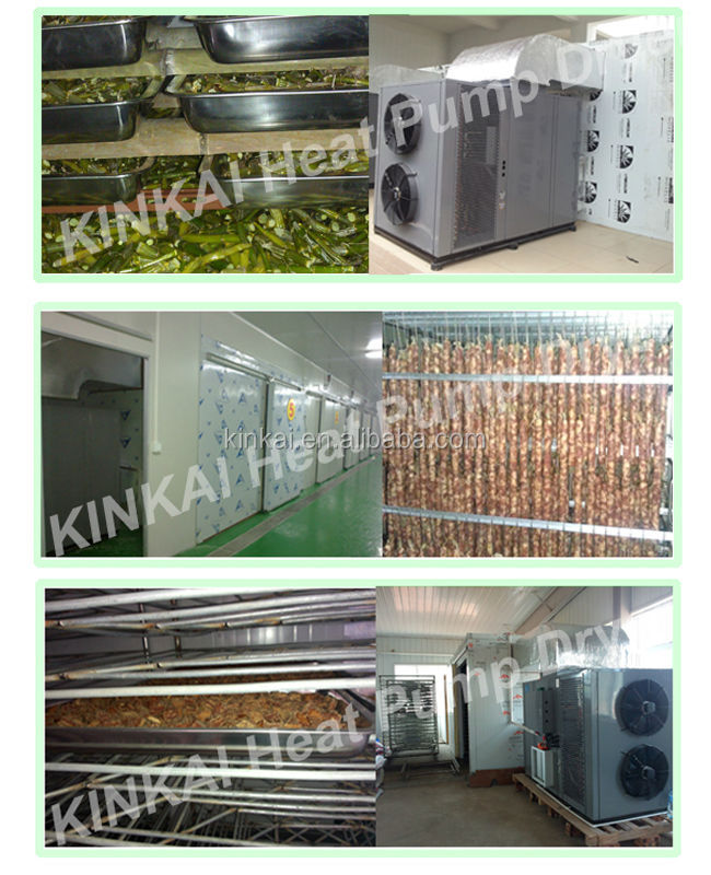High quality Touch Controller Fruit and Vegetable Dryer