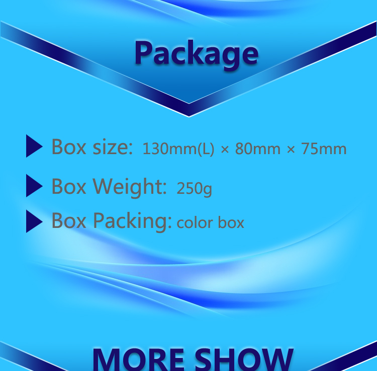 hidden car mini camera