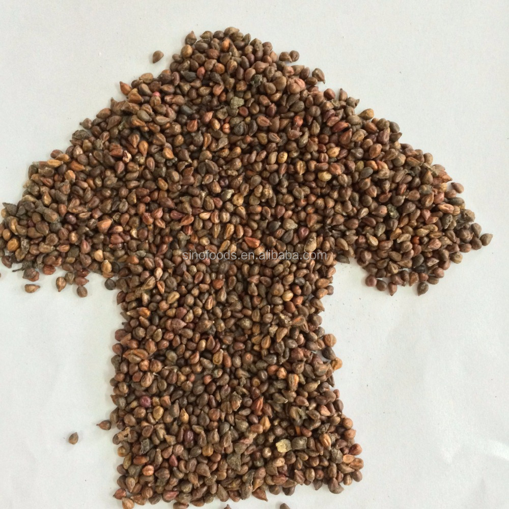 Pu Tao Zi Bulk Dried Grape Seed For Extract Buy Dried Grape Seed