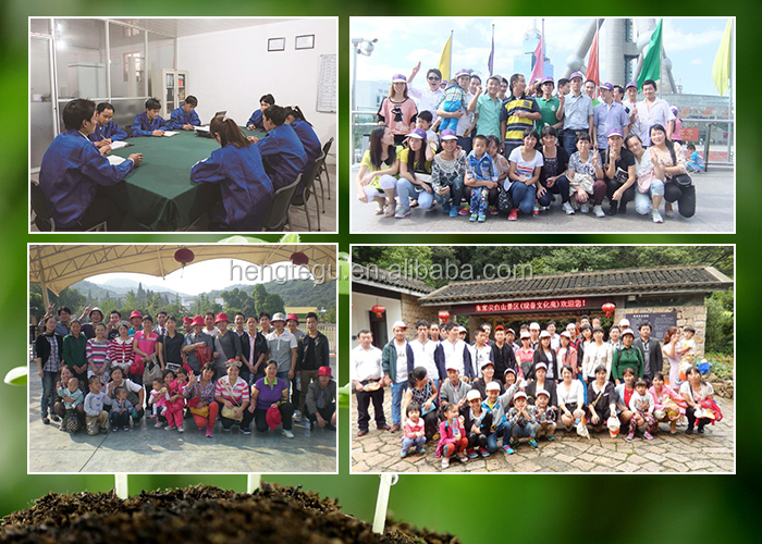 company 02.jpg