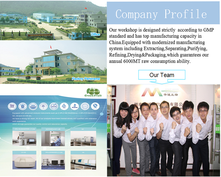company profile.jpg