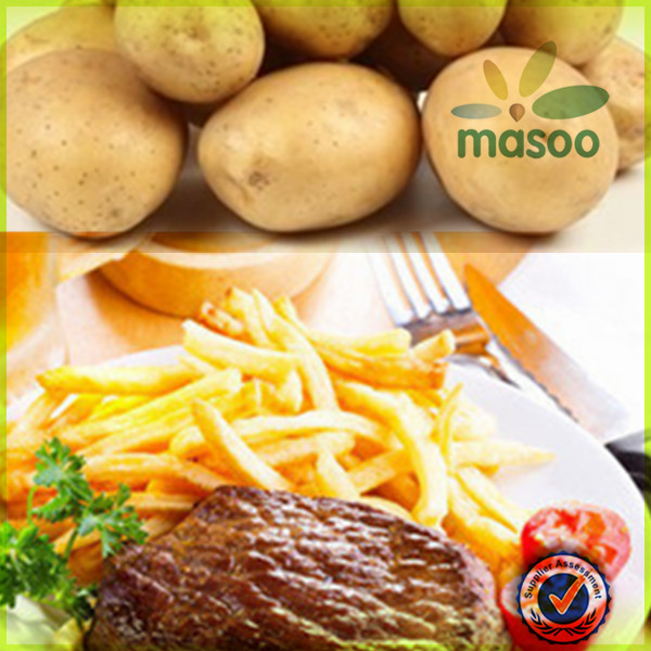 Chinese fresh sweet Holland potato factory and exporter
