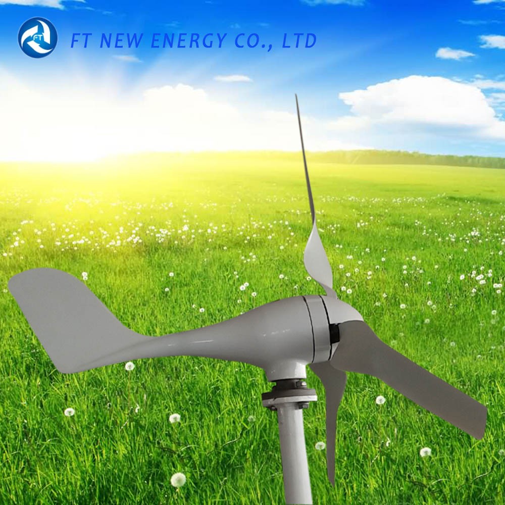 100w 12v 24v Portable Camping Wind Power Generator Buy Portable