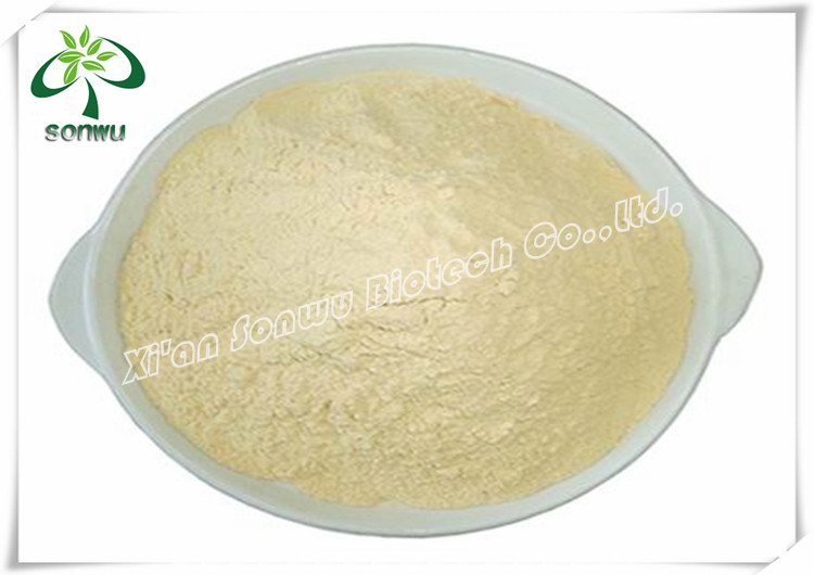 Supply Pure White Tea Extract with Polyphenols