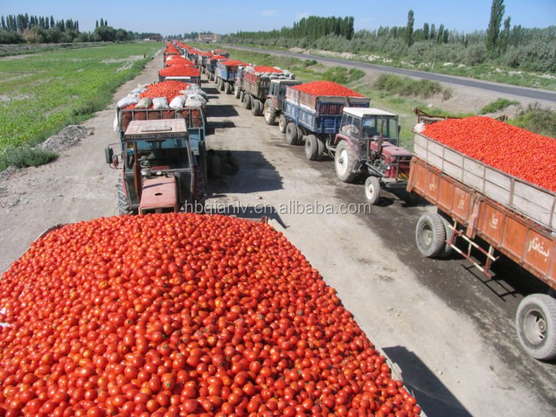 220L steel drums tomato paste