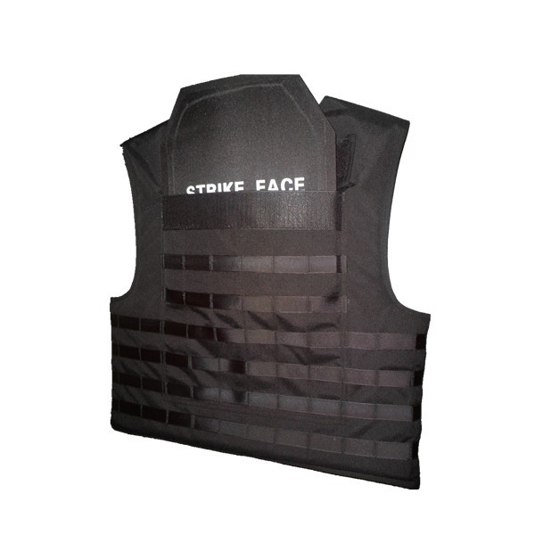 vest with plate.jpg