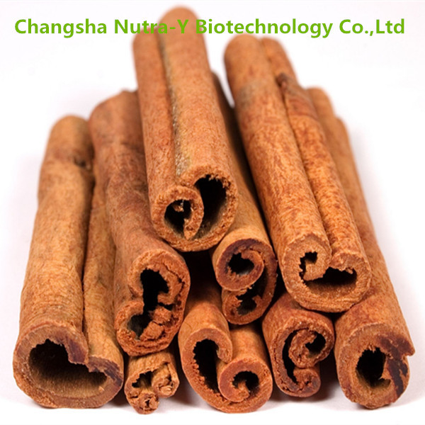 bulk cinnamon bark extract