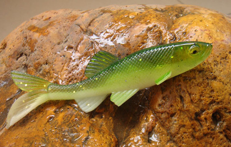の魚のルアーソフトシリコンモールドの中国語の熱い販売の釣り餌仕入れ・メーカー・工場