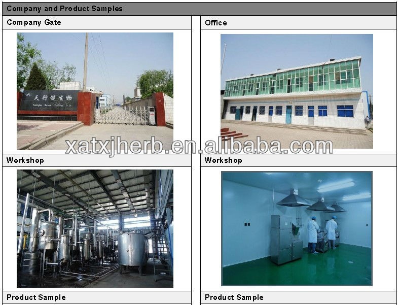 Bitter Apricot Seed Extract Natural Pure Amygdalin 98% Amygdalin