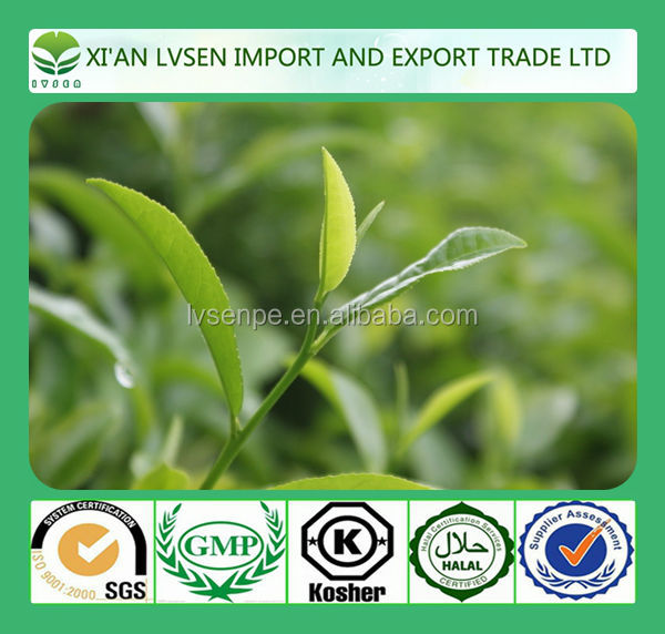 Improving immunity and Anti-radiation green tea extraction polyphenols powder 50%-98%