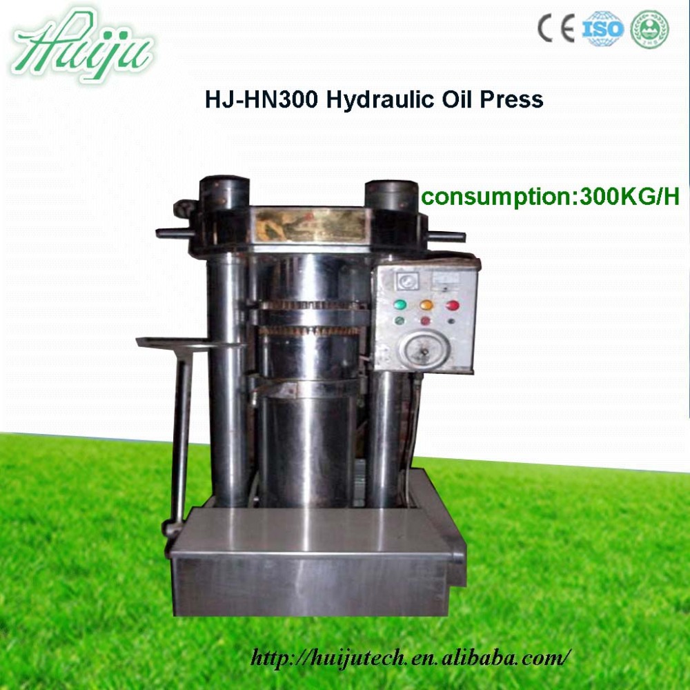 300kg/hour Italian Mini Olive Press Machine Stainless Steel Small Olive
