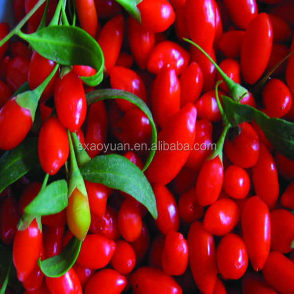 100% Good Quality Goji Berry Extraction (30% Polysaccharides)