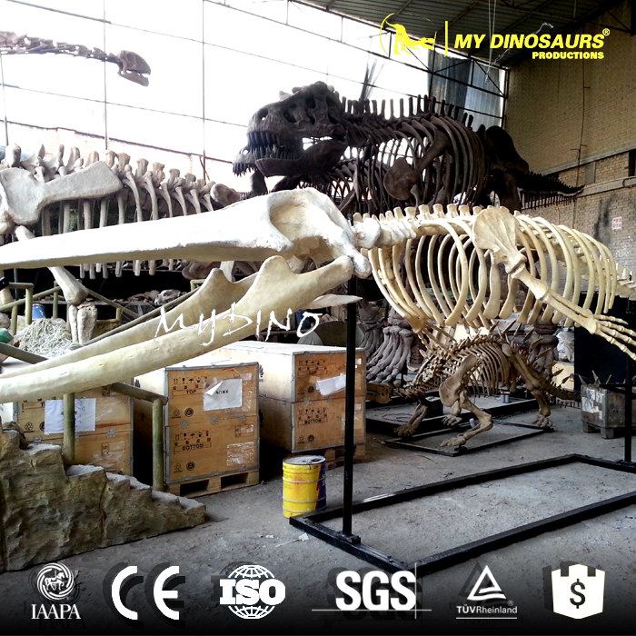 whale replica.jpg