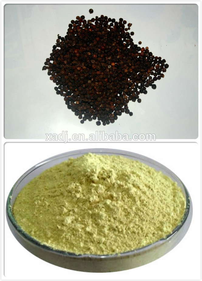 100% Natural Black pepper extract/Black pepper extract powder/black pepper vietnam price
