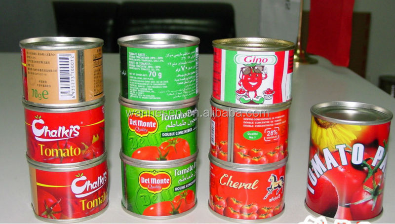 High Quality tomato paste production 210gx48tins