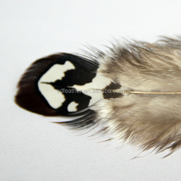 安い茶色リーブスキジキジの羽の販売のための羽仕入れ・メーカー・工場