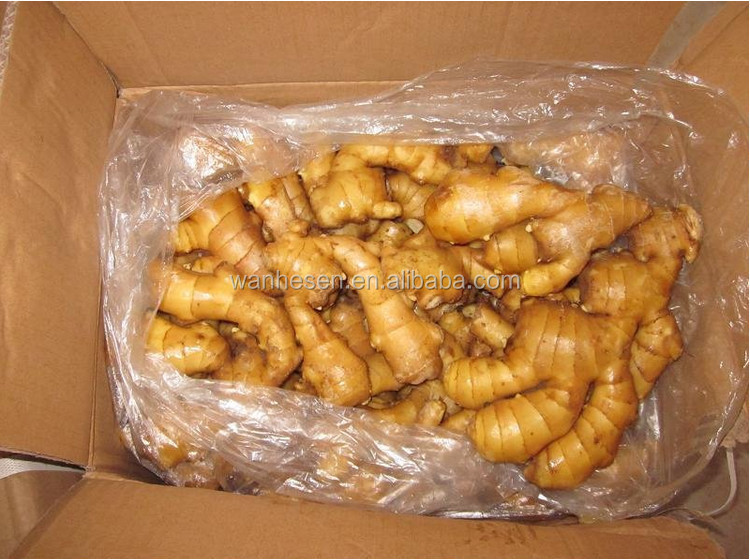 cheap price ginger, fresh ginger, half dry ginger -air dry ginger