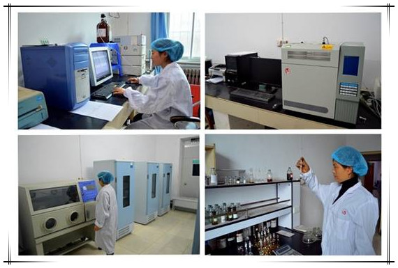 GMP Manufacturer Marshmallow Leaves Extract Powder